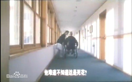 最新绪形直人(Ogata Naoto)在《葵花劫》视频截图中的壁纸