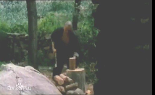 最新绪形直人(Ogata Naoto)在《葵花劫》视频截图中的壁纸