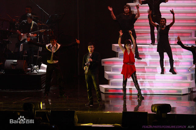 林忆莲(Sandy Lam)演唱会图片前后照片