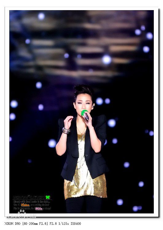 林忆莲(Sandy Lam)演唱会图片前后照片