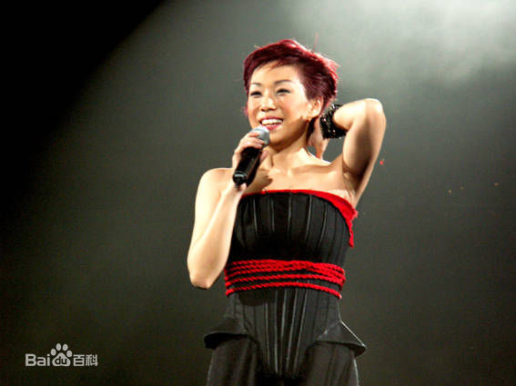 林忆莲(Sandy Lam)演唱会图片前后照片