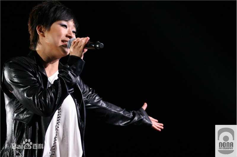 林忆莲(Sandy Lam)演唱会图片前后照片