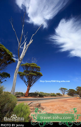最优质林忆莲(Sandy Lam)精彩图册