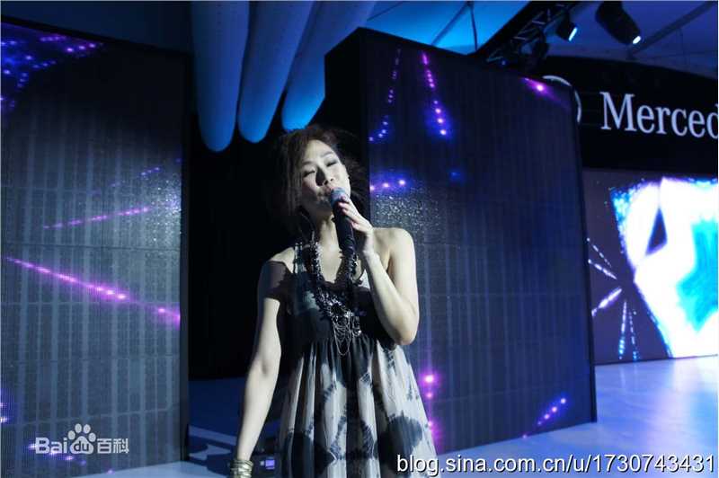 林忆莲(Sandy Lam)2011梅赛德斯奔驰演出图册