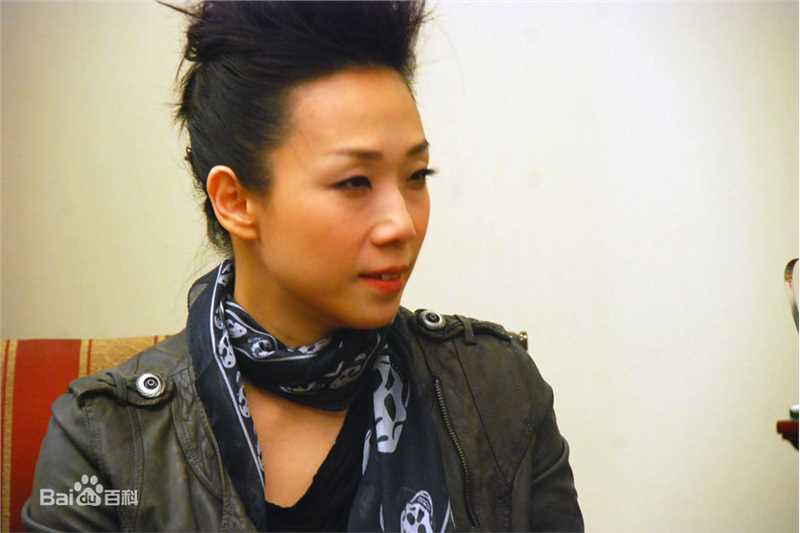 林忆莲(Sandy Lam)2010MSN专访性感图片图集