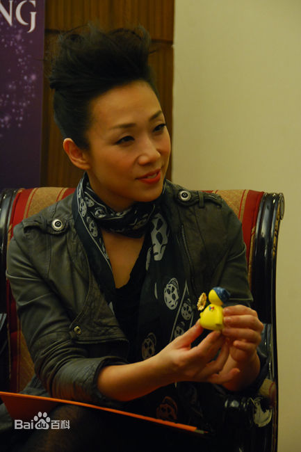 林忆莲(Sandy Lam)2010MSN专访性感图片图集