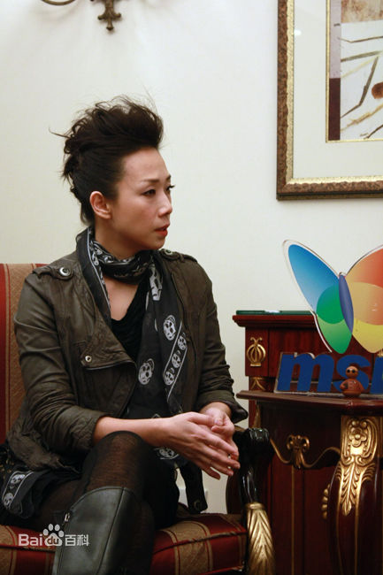 林忆莲(Sandy Lam)2010MSN专访性感图片图集