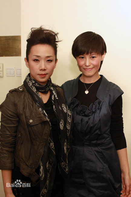 林忆莲(Sandy Lam)2010MSN专访性感图片图集