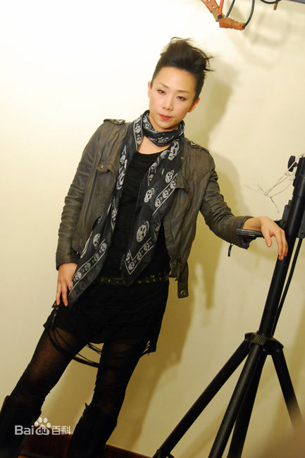 林忆莲(Sandy Lam)2010MSN专访性感图片图集