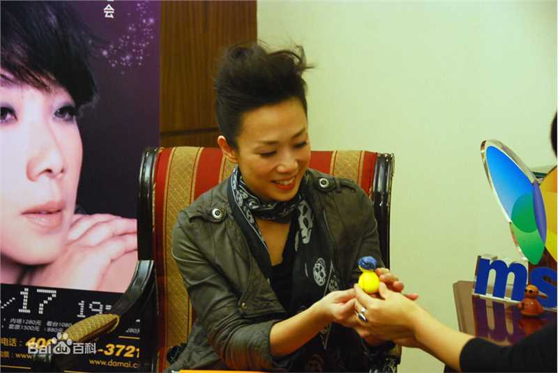 林忆莲(Sandy Lam)2010MSN专访性感图片图集