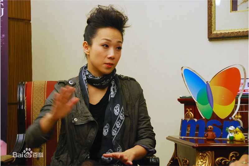 林忆莲(Sandy Lam)2010MSN专访性感图片图集