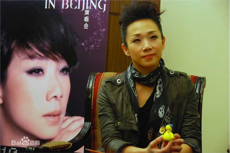 林忆莲(Sandy Lam)2010MSN专访性感图片图集