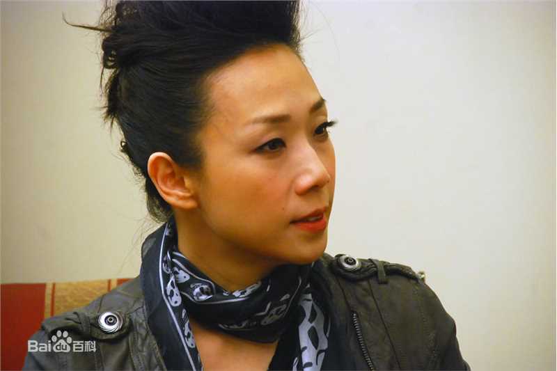 林忆莲(Sandy Lam)2010MSN专访性感图片图集