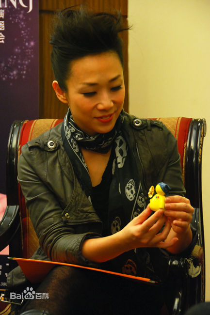 林忆莲(Sandy Lam)2010MSN专访性感图片图集