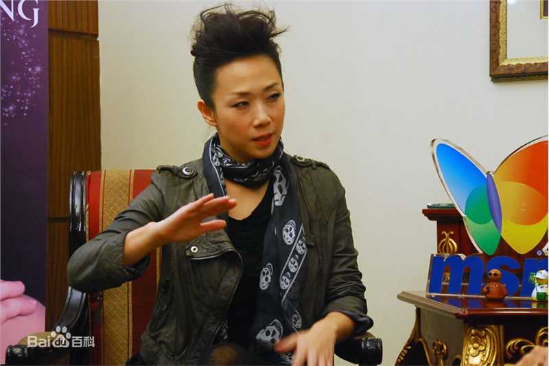 林忆莲(Sandy Lam)2010MSN专访性感图片图集