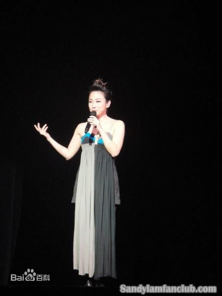 林忆莲(Sandy Lam)2009多伦多演唱会生活照
