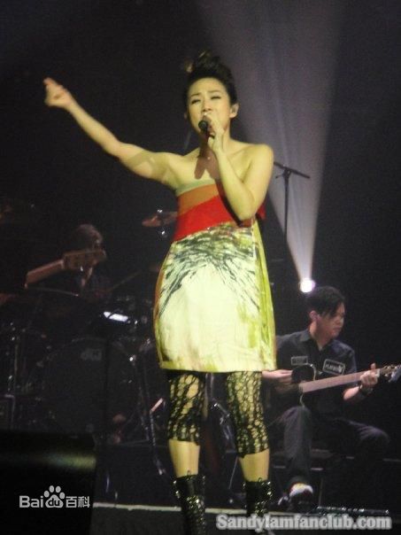 林忆莲(Sandy Lam)2009多伦多演唱会生活照
