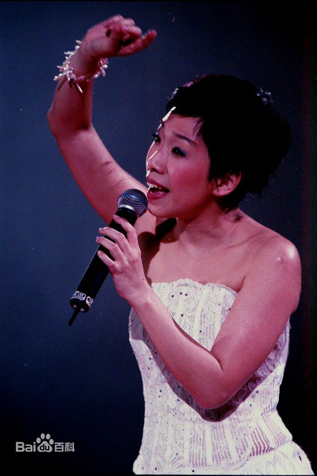 林忆莲(Sandy Lam)2002香港演唱会前后照片