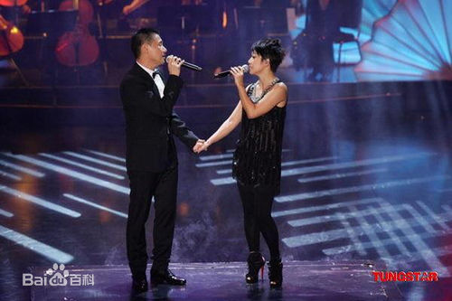 林忆莲(Sandy Lam)第28届香港电影金像奖颁奖典礼图册