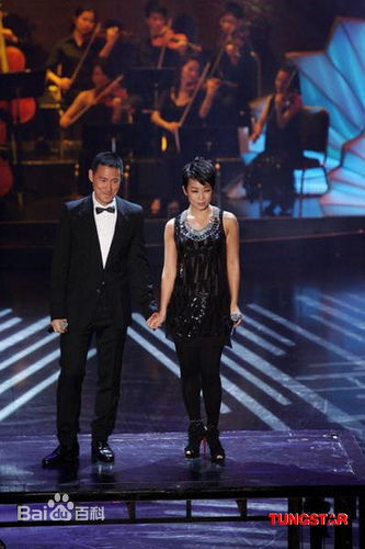 林忆莲(Sandy Lam)第28届香港电影金像奖颁奖典礼图册