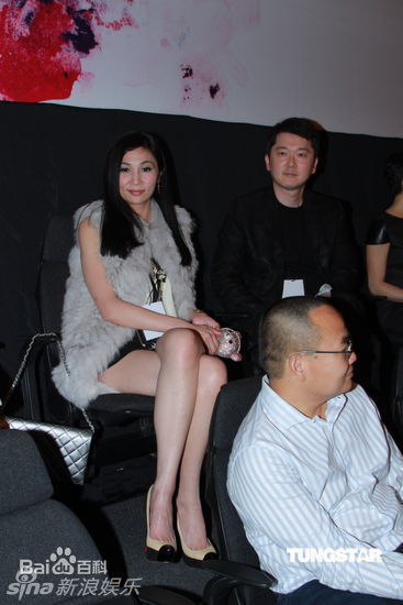 最全林忆莲(Sandy Lam)精彩图册