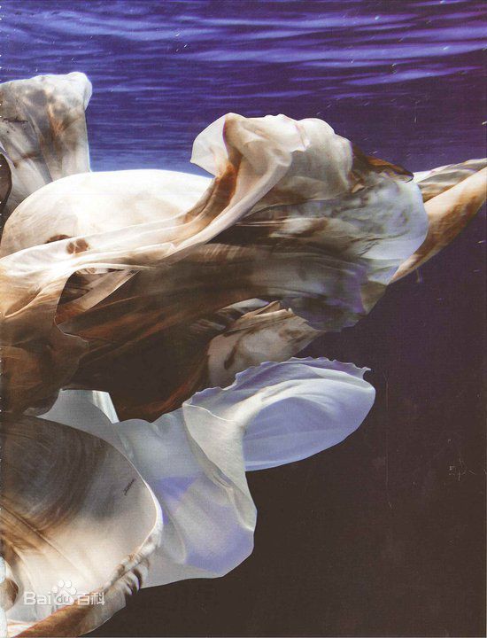 最新林忆莲(Sandy Lam)精彩图册