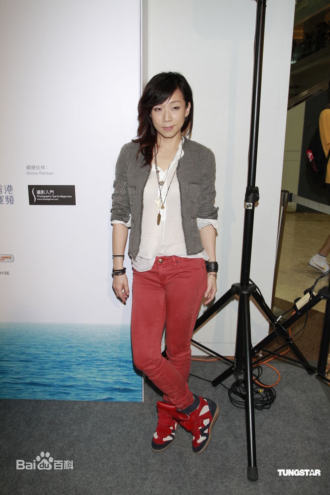 最优质林忆莲(Sandy Lam)精彩图册