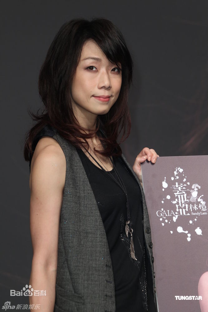 最优质林忆莲(Sandy Lam)精彩图册
