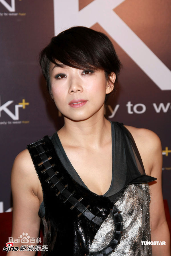 精选林忆莲(Sandy Lam)精彩图册