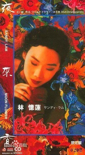 林忆莲(Sandy Lam)前后照片