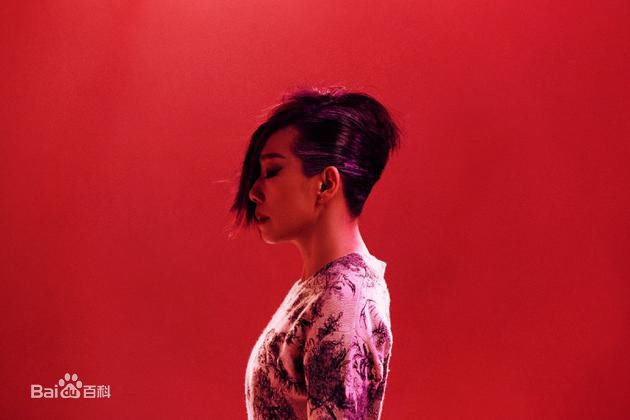 林忆莲(Sandy Lam)前后照片