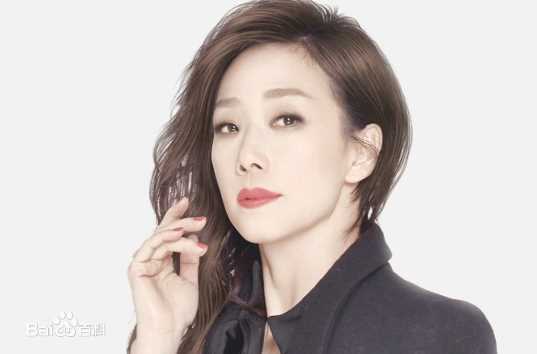 林忆莲(Sandy Lam)概述图册图片图册