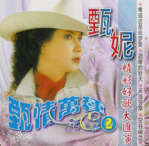 甄妮(Jenny Tseng)CD唱片封套照片图册