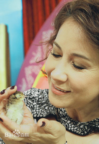 甄妮(Jenny Tseng)综艺节目照片壁纸壁纸