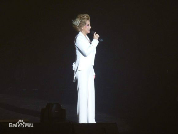 甄妮(Jenny Tseng)2013年12月6日“非”台北云顶演唱会壁纸壁纸