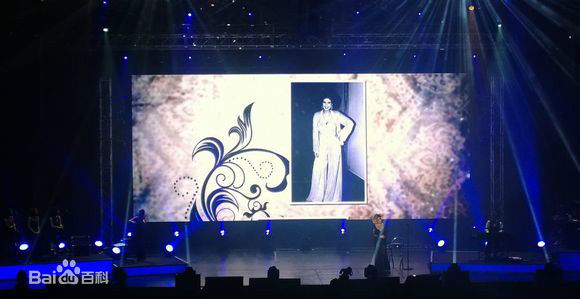 甄妮(Jenny Tseng)2013年12月6日“非”台北云顶演唱会壁纸壁纸