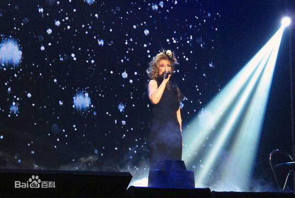 甄妮(Jenny Tseng)2013年12月6日“非”台北云顶演唱会壁纸壁纸