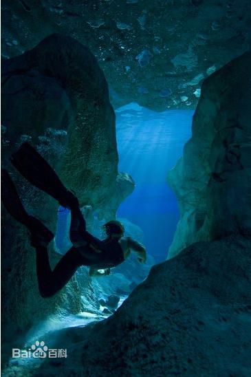 最新詹姆斯·弗朗西斯·卡梅隆(James Cameron)精彩图册