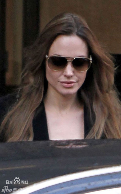 精选安吉丽娜·朱莉(Angelina Jolie)精彩图册