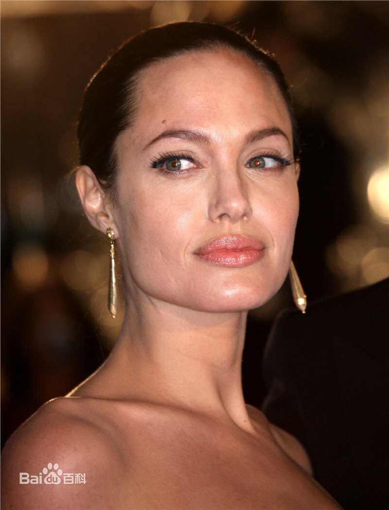 最优质安吉丽娜·朱莉(Angelina Jolie)精彩图册