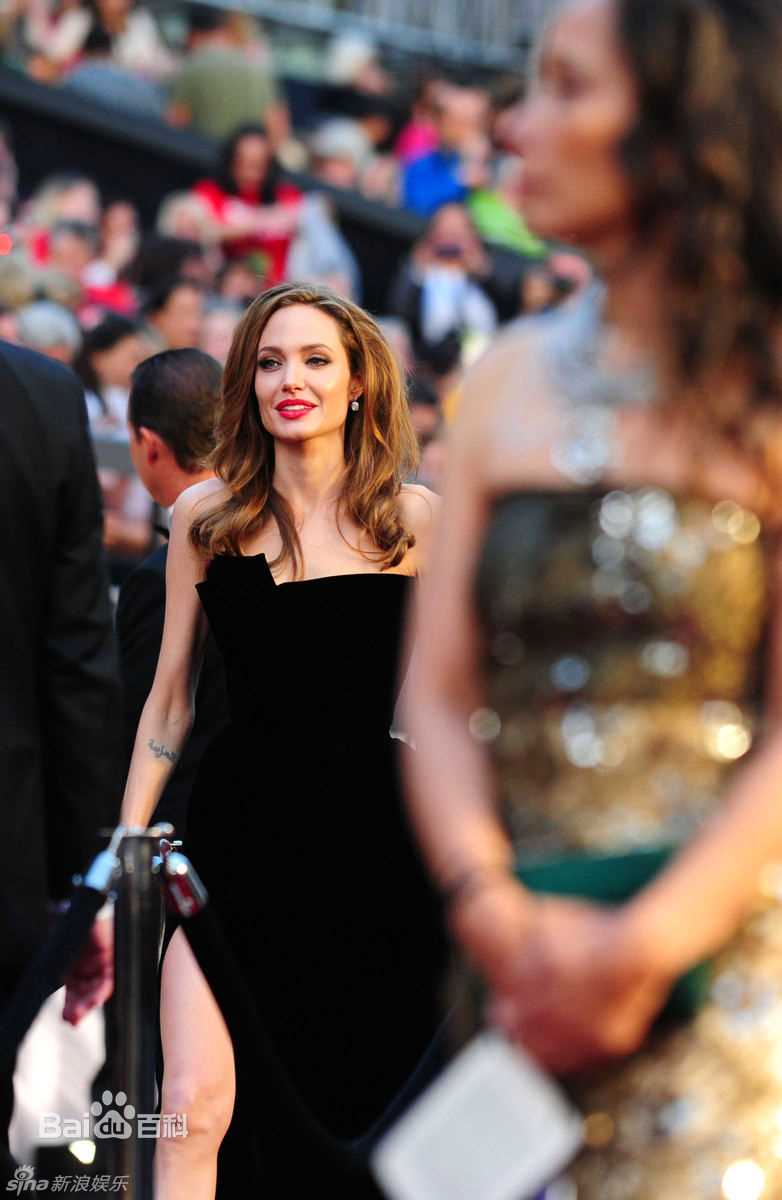 最新安吉丽娜·朱莉(Angelina Jolie)精彩图册