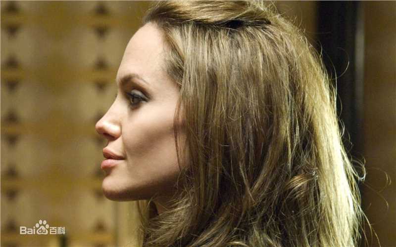 安吉丽娜·朱莉(Angelina Jolie)精彩图册