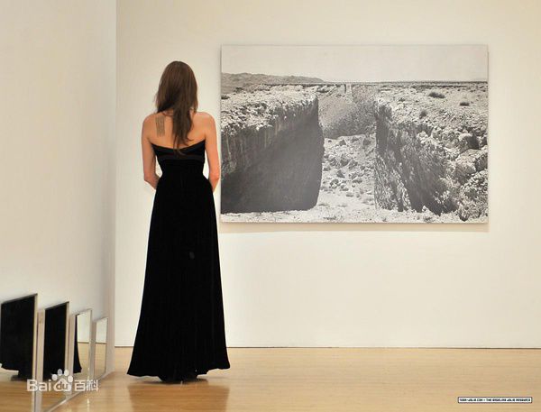 高清安吉丽娜·朱莉(Angelina Jolie)精彩图册