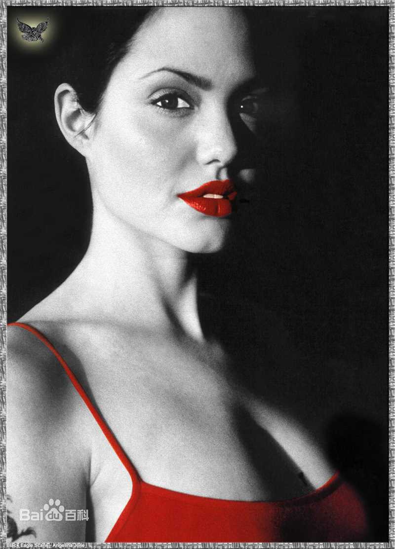 最优质安吉丽娜·朱莉(Angelina Jolie)精彩图册