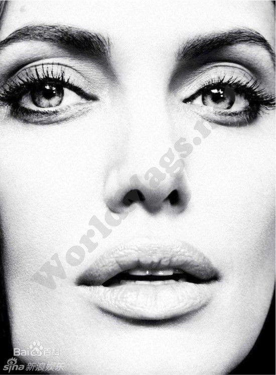 高清安吉丽娜·朱莉(Angelina Jolie)精彩图册