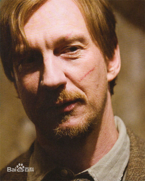 大卫·休里斯(David Thewlis)精彩图册