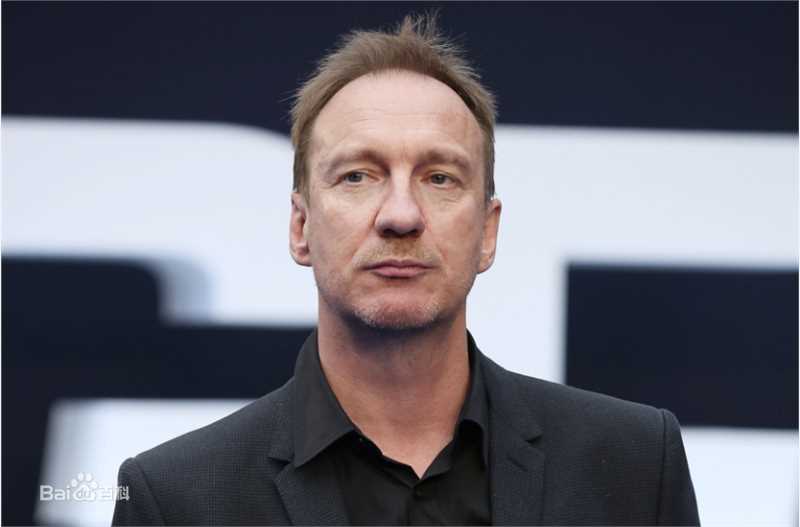 最全大卫·休里斯(David Thewlis)壁纸