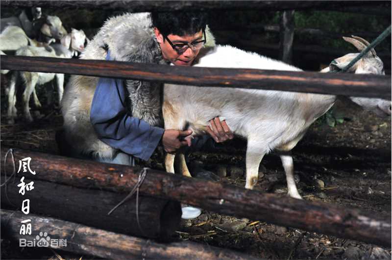最全鲍大志精彩图册