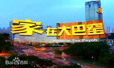 精选李南星(Li Nan Xing)