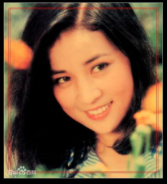 最优质林凤娇精彩图册